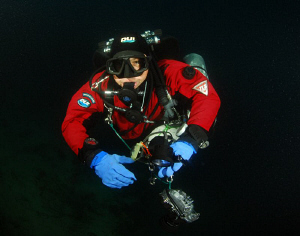 Diver on the way back to surface. by Andy Kutsch 